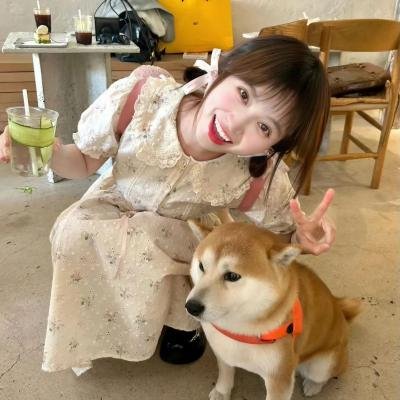 狸想世界