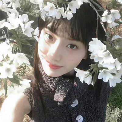 深夜中的企鹅